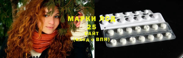 крисы Алзамай