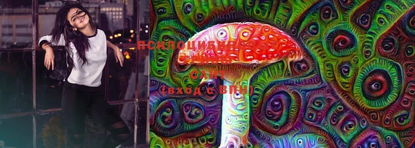 крисы Алзамай