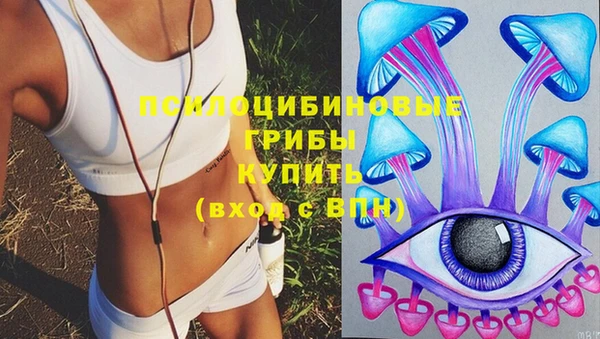 соль курить ск Алексеевка