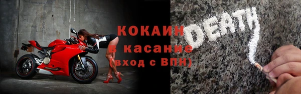 ПСИЛОЦИБИНОВЫЕ ГРИБЫ Арсеньев